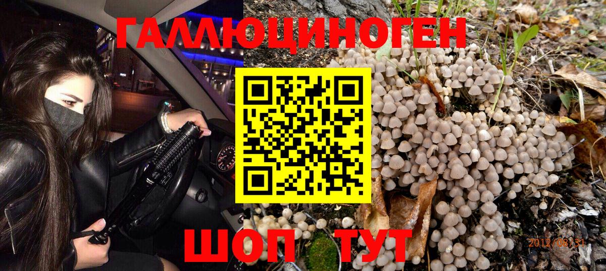 Псилоцибиновые грибы MAGIC MUSHROOMS Стрежевой